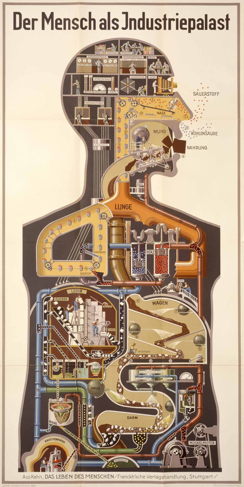 Illustration for article titled Fritz Kahn's Whimsical Infographics Turn People Into Contraptions